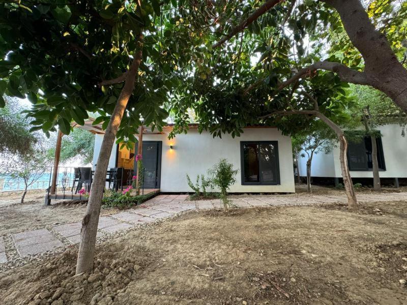 Otelox Ayas Beach Bungalov Erdemli Εξωτερικό φωτογραφία